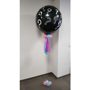 Geldschieter Numeriek Vervorming Gender Reveal Ballonnen - Ballon decoraties op thema